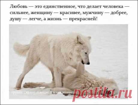 Самая крепкая защита женщины - любовь её мужчины.