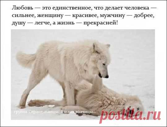 Самая крепкая защита женщины - любовь её мужчины.