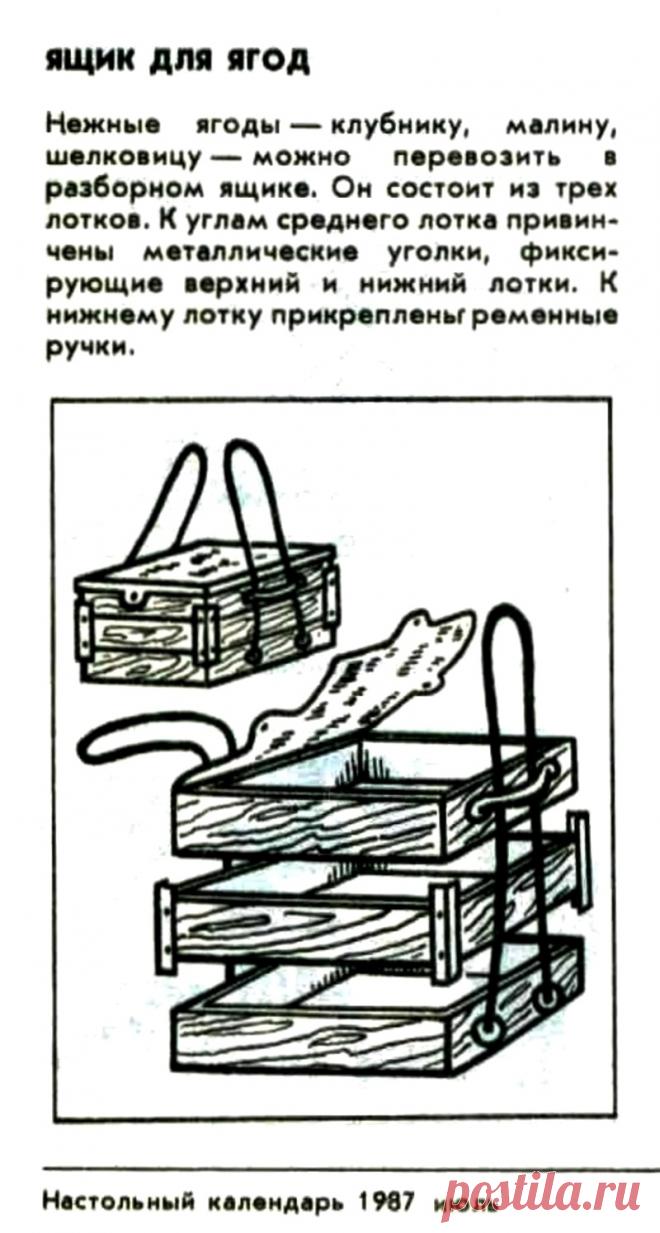 Ящик для ягод