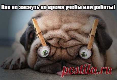 Хитрости жизни