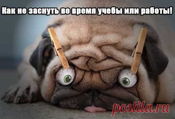 Хитрости жизни