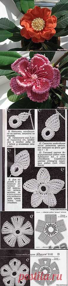 Найдено на сайте postila.ru.