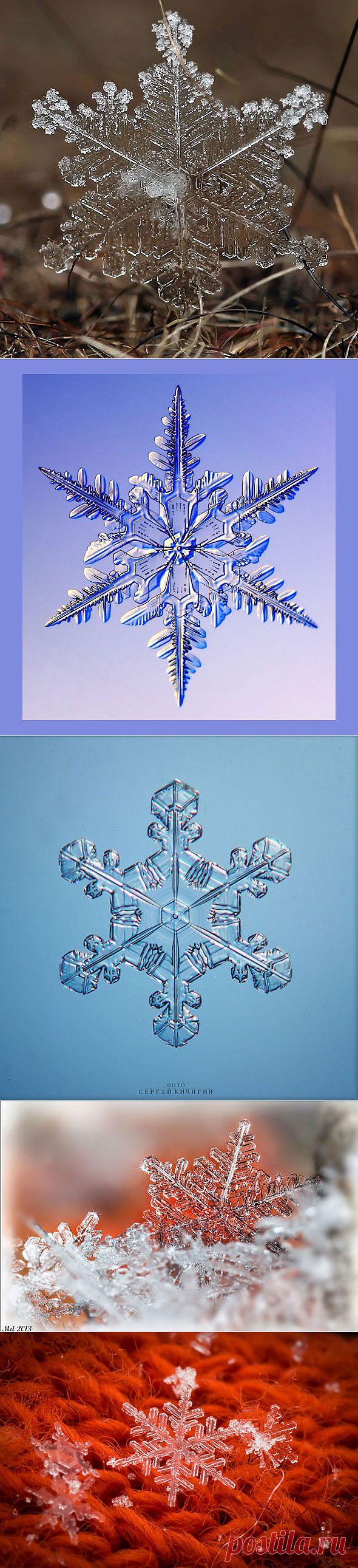 Даешь Зиму! Осень уже затанулась!...Фотографии снежинок для зимнего настроения