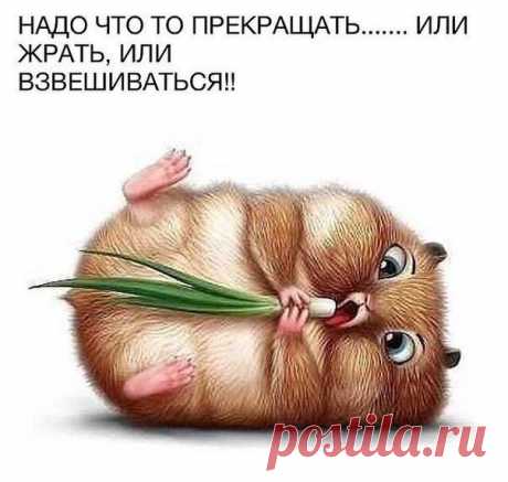 **Мать поучает свою дочь перед свадьбой:- Никогдa полностью перед мужем не раздевайся! В тебе должна быть загадка!Через три дня муж спрашивает свою невесту:
- У вас в роду не было ненормальных?- Нет.- A почему ты уже три дня спишь в шляпе!?...
** Коль, а ты меня обижать не будешь?— Обижать? Нет, я женщин не обижаю. 
— А если вдруг я что-нибудь натворю. . . этакое. . . — Ну, убью, да и все. . . Обижать-то зачем?!