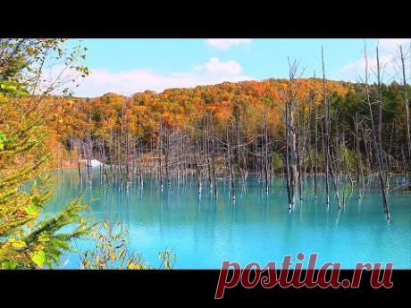 Autumn Music〜Beautiful Autumn Beautiful Music〜癒されます