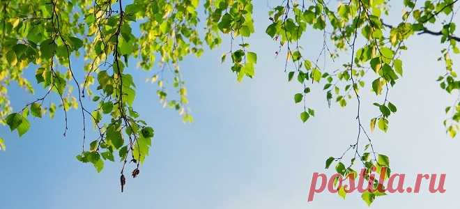 Суббота перед Троицей - чего нельзя делать?