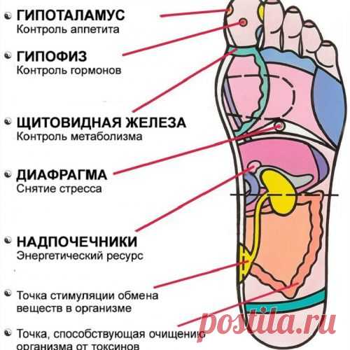 ЗАМЕЧАЙТЕ ТАКИЕ ЗНАКИ | Советы Народной Мудрости
