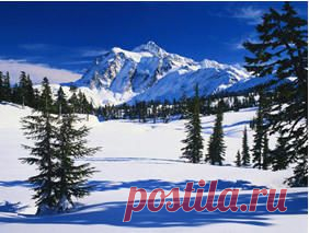 Иглотерапия и мануальная терапия