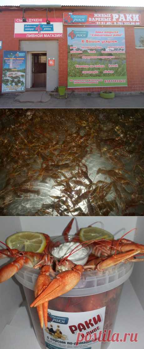 живые раки