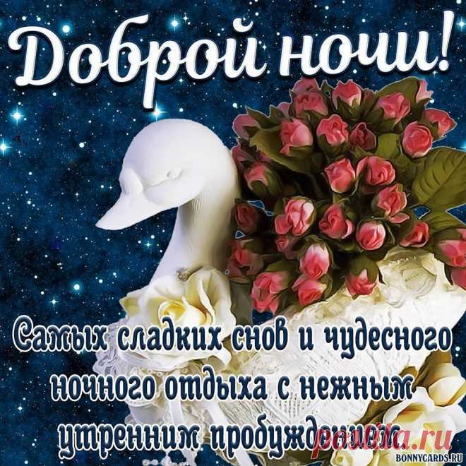 Доброй ночи. Пускай ночь заберет всю усталость и весь негатив сегодняшнего дня.