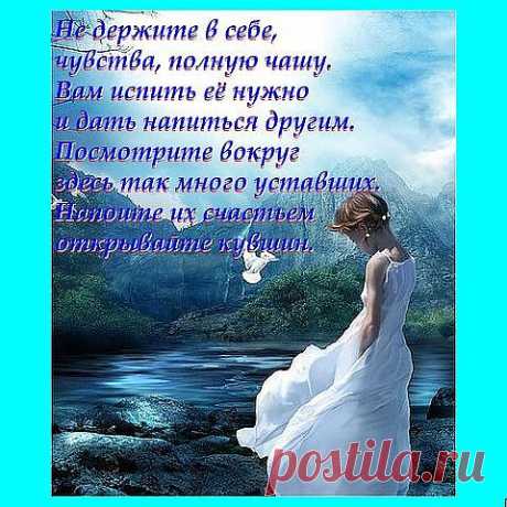 Открытка