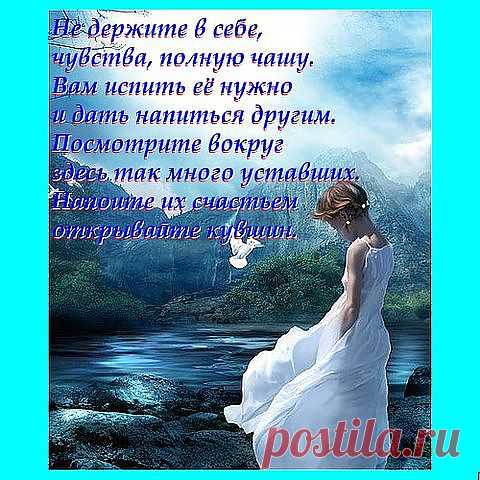 Открытка