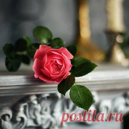 — Что бы ты подарил любимому человеку, если бы был всемогущ?! 
— Ещё одну жизнь!!! 
Владимир Высоцкий