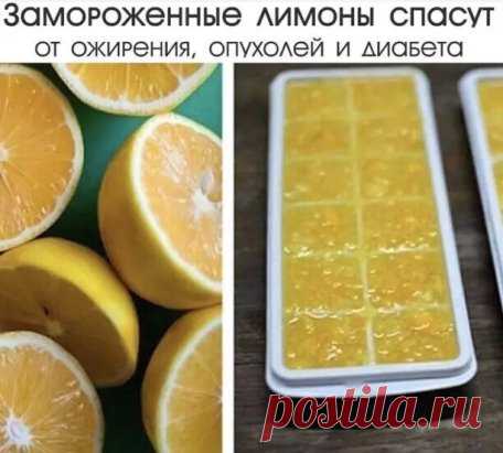 Лимоны замораживают в основном ради цедры. После размораживания цедра становится более мягкой и ее удобнее употреблять в пищу.
Как и у большинства других фруктов, в кожице лимона сконцентрирован максимум питательных веществ, помогающих регулировать уровень холестерина, укреплять иммунную систему и предотвращать рак. В ней также содержатся антимикробные, антигрибковые и антибактериальные вещества.