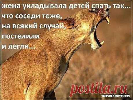 Смех продлевает ЖИЗНЬ. – Сообщество – Google+