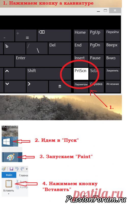 Как сделать скриншот. Урок №10 Обработка скриншота в «Paint»