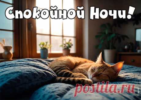 Я желаю тебе доброй ночи
И приятных, спокойных снов.
Чтоб была она нежной очень
И хотелось заснуть сильно вновь.