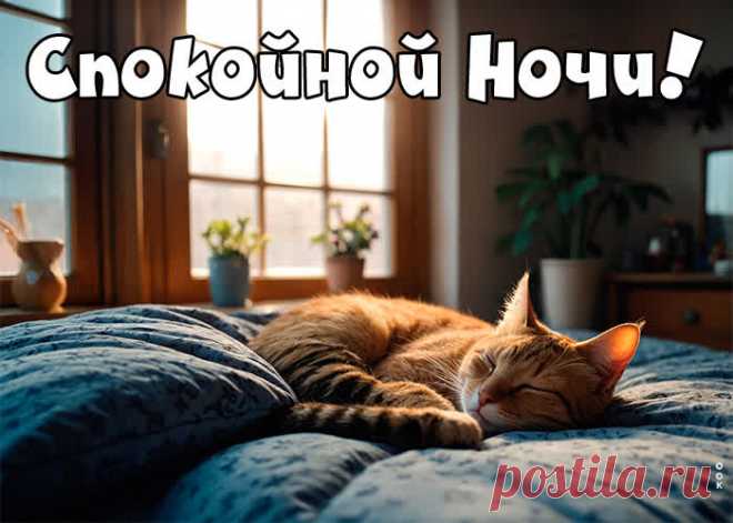 Я желаю тебе доброй ночи
И приятных, спокойных снов.
Чтоб была она нежной очень
И хотелось заснуть сильно вновь.