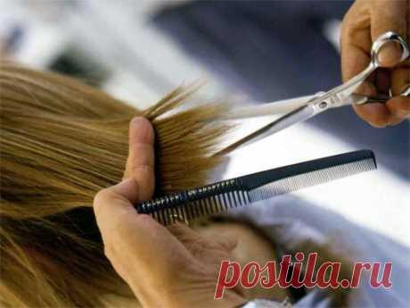 Лунный календарь стрижек волос: благоприятные дни недели