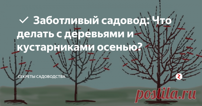 ✔ Заботливый садовод: Что делать с деревьями и кустарниками осенью?  Это один из залогов того, что на следующий год сад даст богатый урожай! Обрезка и ...