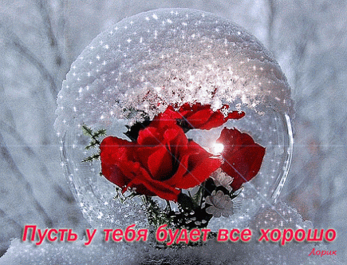 Живые фотографии – Блестящие картинки – Сообщество – Google+