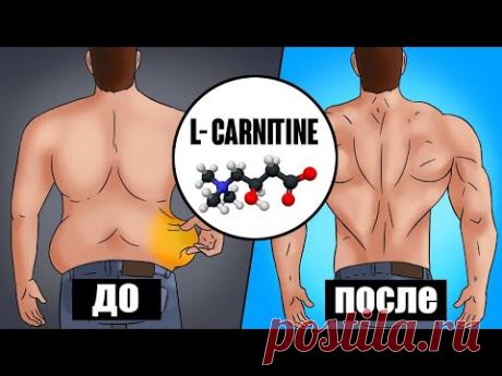 Что будет если принимать Л Карнитин