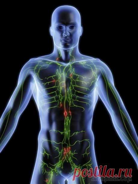 Лимфаденит: 80% того что мы делаем вредит нашему здоровью