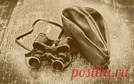 За чьи интересы воевала гитлеровская Германия? | Культура, искусство, история