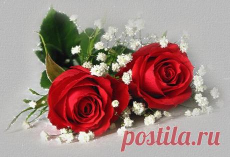 (2) Одноклассники