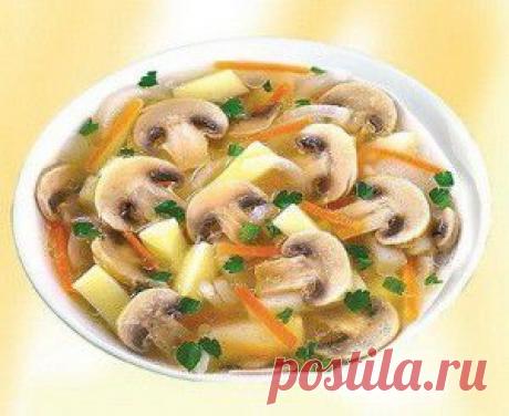 как приготовить грибной суп с корейской морковкой оригинальный рецепт | Никогда не сдавайся! Красота, здоровье, народная медицина, здоровый образ жизни, стройная фигура, бизнес дом и семья, полезные советы