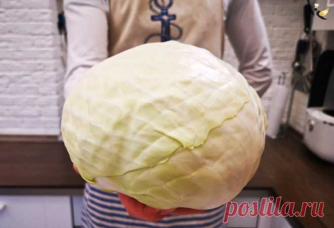 Готовлю капусту «по-немецки», получается очень вкусно и сочно. На столе не задерживается, семья съедает сразу. Делюсь рецептом | MEREL | KITCHEN | Яндекс Дзен