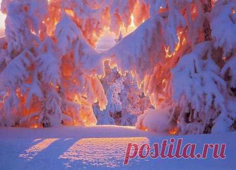Google+