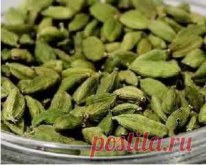 Полезные свойства кардамона