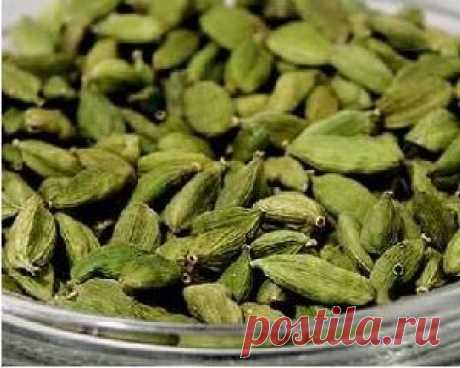 Полезные свойства кардамона