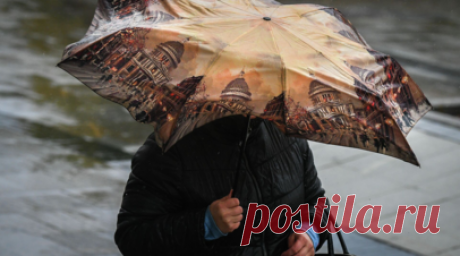 Синоптик: на День народного единства в Москве ожидается дождь. Как минимум до середины ноября в Москве не стоит ожидать снега, рассказала в беседе с RT ведущий специалист информагентства «Метеоновости» Татьяна Позднякова. Читать далее