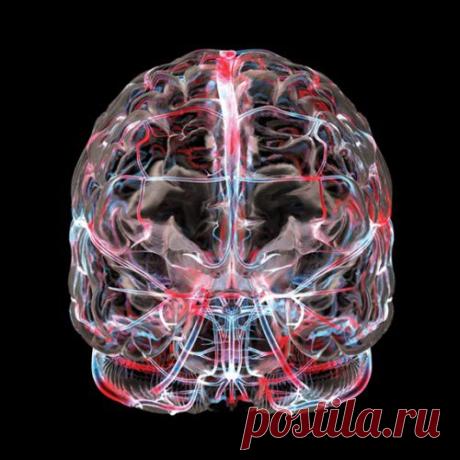 ШУМИТ КАМЫШ НАД РЕЧНОЙ ВОЛНОЙ: ОТВАРОМ ИЗ НЕГО СЕРДЦЕ УСПОКОЙ