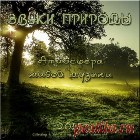Звуки природы - Атмосфера живой музыки-1 (Mp3) Атмосфера живой музыки - это подборка различных естественных звуков живой и неживой природы.В сборнике представлены самые популярные атмосферы природных звуков - голоса леса, музыка моря, звуки дождя, грозы, деревни и другие натуральные звуки, которых особенно не хватает жителям больших и малых