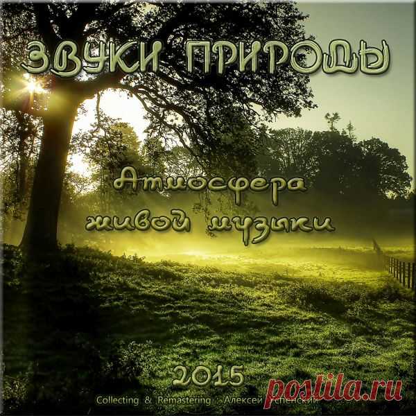 Звуки природы - Атмосфера живой музыки-1 (Mp3) Атмосфера живой музыки - это подборка различных естественных звуков живой и неживой природы.В сборнике представлены самые популярные атмосферы природных звуков - голоса леса, музыка моря, звуки дождя, грозы, деревни и другие натуральные звуки, которых особенно не хватает жителям больших и малых