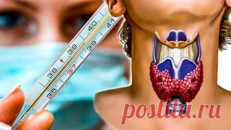 Чтобы проверить свою щитовидку, нужен только градусник 
Мало кто об этом знает, но еще 50 лет назад ученый Брода Отто Барнс обнаружил, что температура тела - отличный индикатор того, как работает ваша щитовидная железа. 
Есть только один нюанс: температуру тела нужно мерять сразу после пробуждения, еще в кровати. 
Барнс заметил, что ненормальная температура по утрам - первый признак воспалительного процесса в щитовидной железе. А сейчас все знают, что если этот орган нашег...