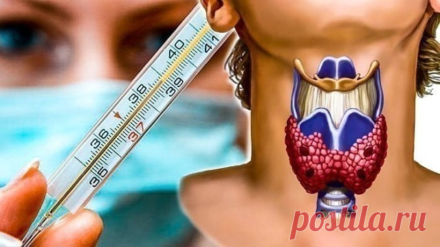 Чтобы проверить свою щитовидку, нужен только градусник 
Мало кто об этом знает, но еще 50 лет назад ученый Брода Отто Барнс обнаружил, что температура тела - отличный индикатор того, как работает ваша щитовидная железа. 
Есть только один нюанс: температуру тела нужно мерять сразу после пробуждения, еще в кровати. 
Барнс заметил, что ненормальная температура по утрам - первый признак воспалительного процесса в щитовидной железе. А сейчас все знают, что если этот орган нашег...