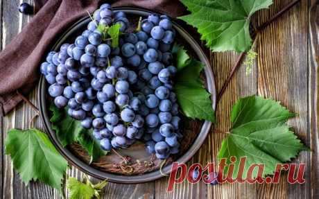13 продуктов-рекордсменов с самой большой концентрацией полезных веществ