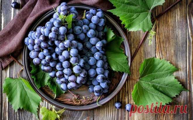13 продуктов-рекордсменов с самой большой концентрацией полезных веществ