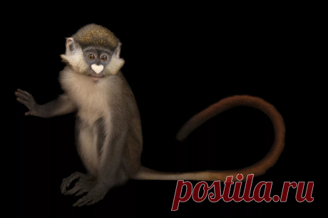 страницы которые создавались константина валерьевича сосницкого краснодар: 10 тыс изображений найдено в Яндекс.Картинках