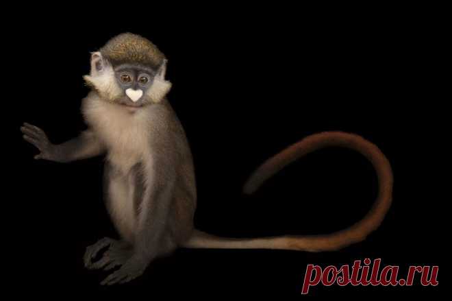 страницы которые создавались константина валерьевича сосницкого краснодар: 10 тыс изображений найдено в Яндекс.Картинках