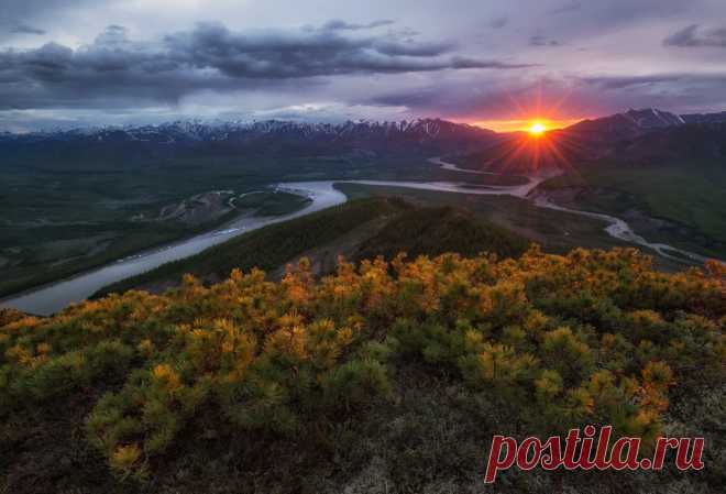 Изгибы северной реки

Момский район Якутии, река Индигирка