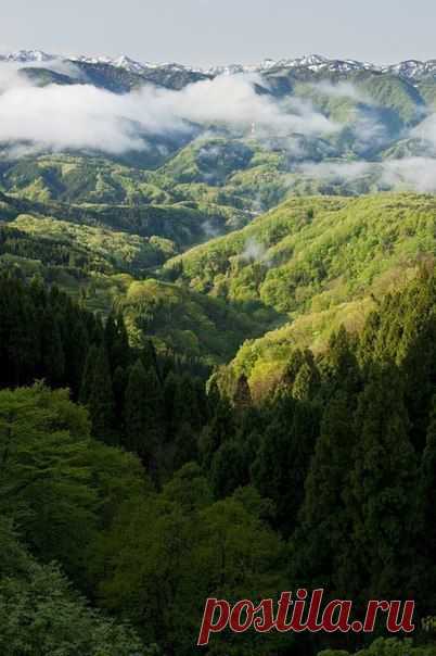 Лучшие фото – Пейзажи/Флора – Сообщество – Google+