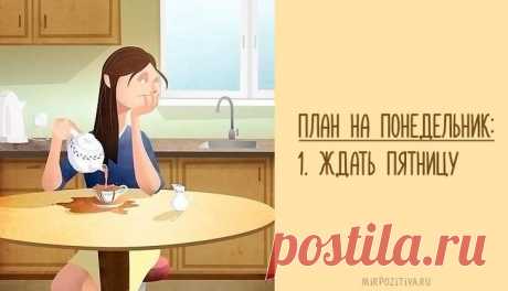 Самые смешные картинки для поднятия настроения в понедельник
