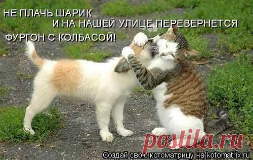 Никогда не жалуйся на судьбу! Друзей - огорчишь, врагов - порадуешь, себе - не поможешь.