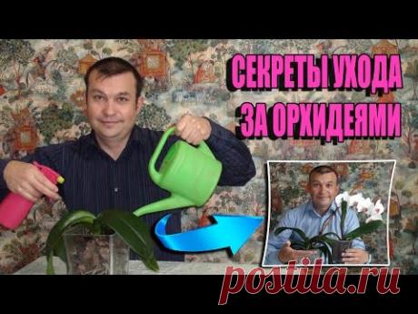 СЕКРЕТ ВЫРАЩИВАНИЯ ОРХИДЕЙ. УХОД ЗА ОРХИДЕЯМИ ФАЛЕНОПСИС В ДОМАШНИХ УСЛОВИЯХ. ПОЛИВ ОРХИДЕЙ