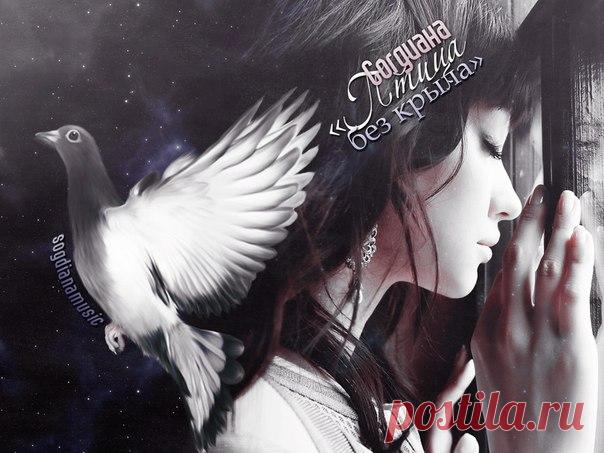 Эта песня разрывает сердце в клочья! Согдиана — Птица без крыла 
Эта звездочка зажглась на небосклоне в две тысячи шестом году. Именно тогда она приехала в столицу из родного Ташкента для того, чтобы пройти кастинг на популярное телешоу того времени «Фабрика звезд…